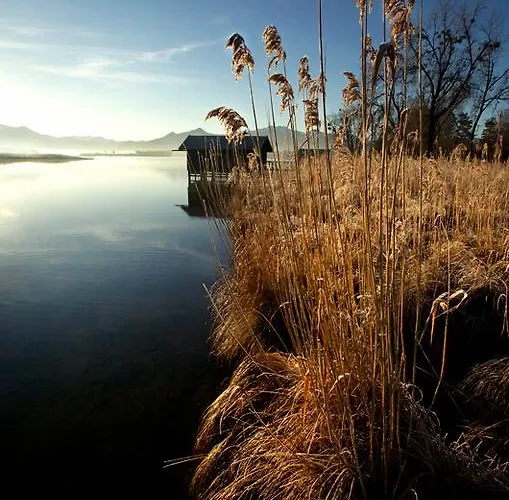 Zum Fischer Am ***s 3* Prien am Chiemsee